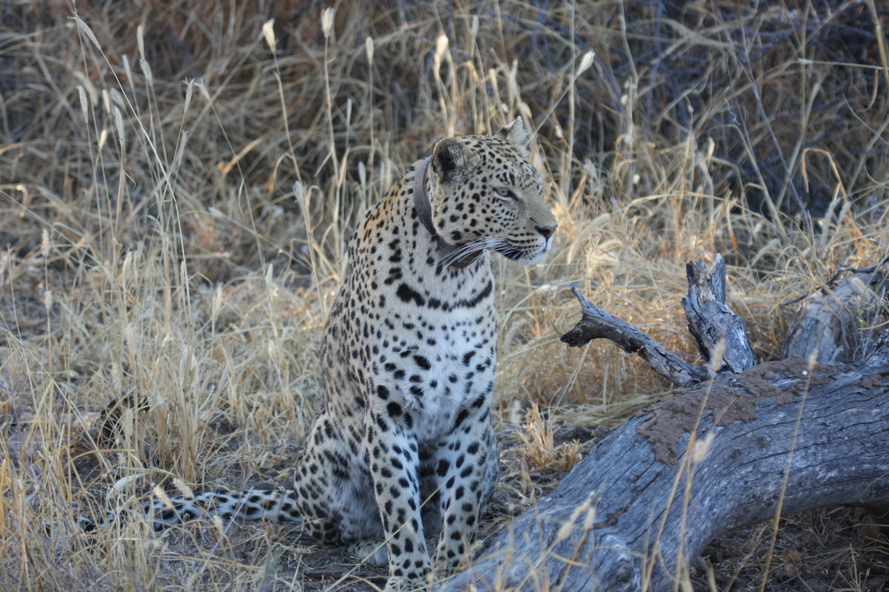 [3105] 2016_06_22_11_22_47_Africa_Canon_EOS_40D_IMG__00715.jpg