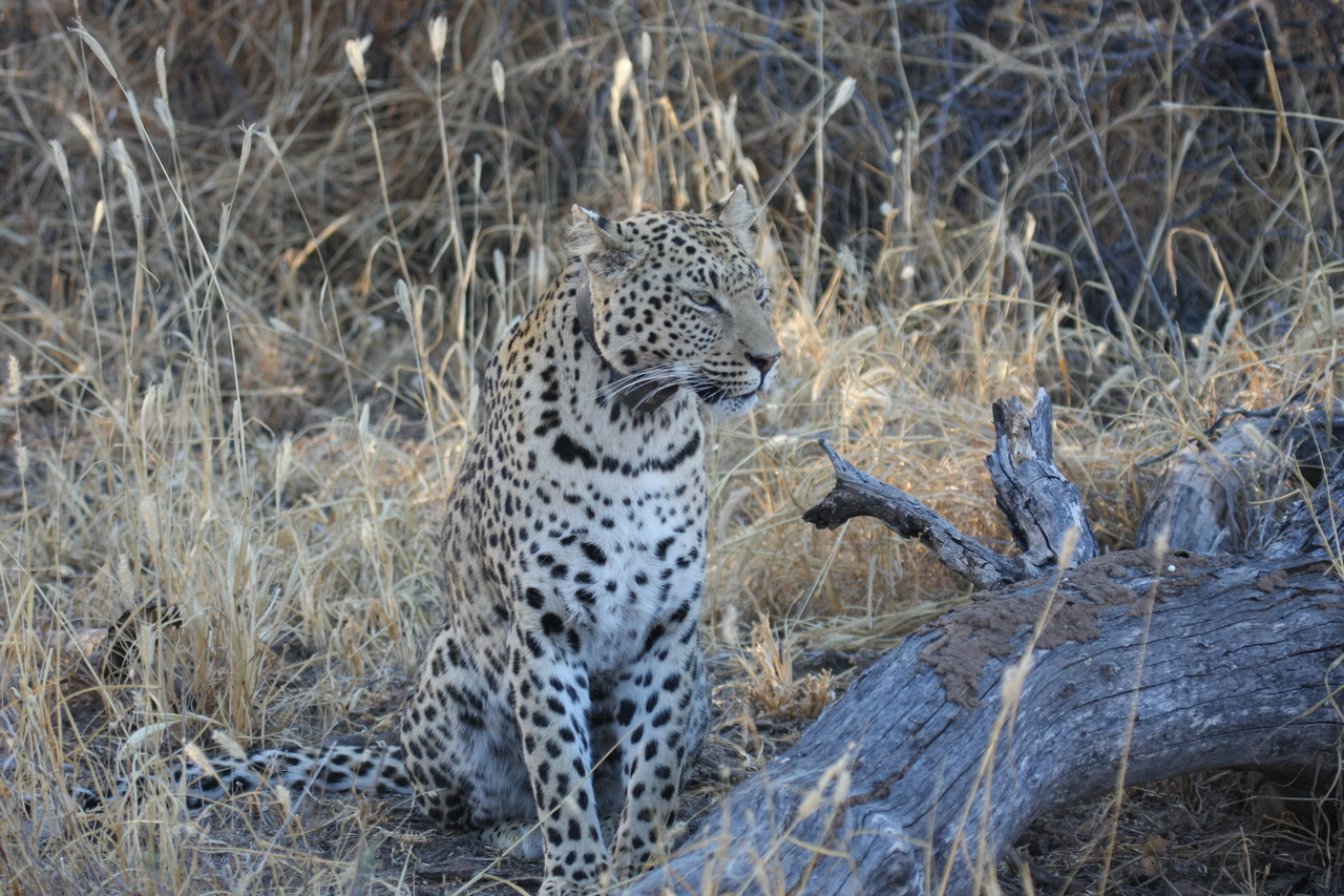 [3113] 2016_06_22_11_22_48_Africa_Canon_EOS_40D_IMG__00718.jpg