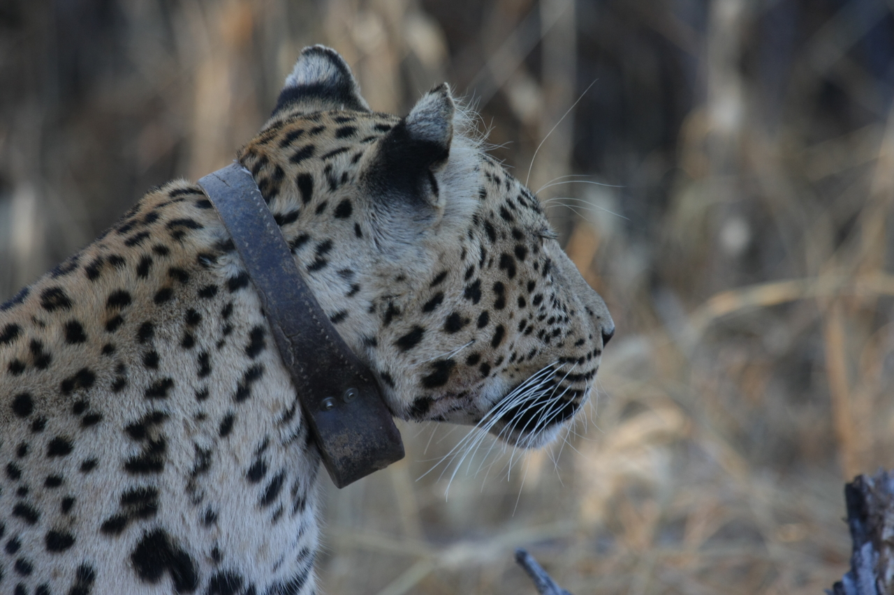 [3237] 2016_06_22_11_24_11_Africa_Canon_EOS_40D_IMG__00735.jpg