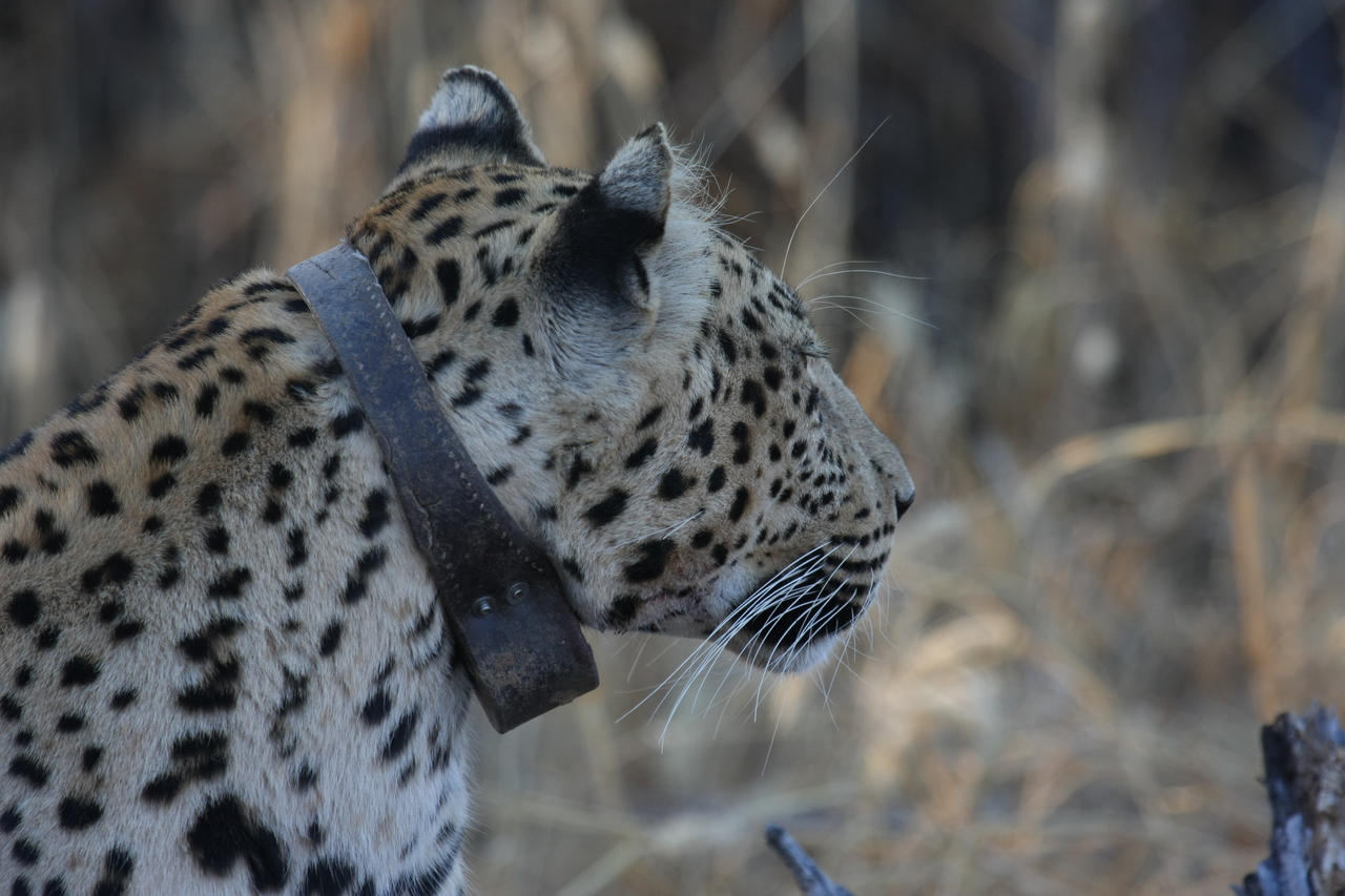 [3241] 2016_06_22_11_24_11_Africa_Canon_EOS_40D_IMG__00755.jpg