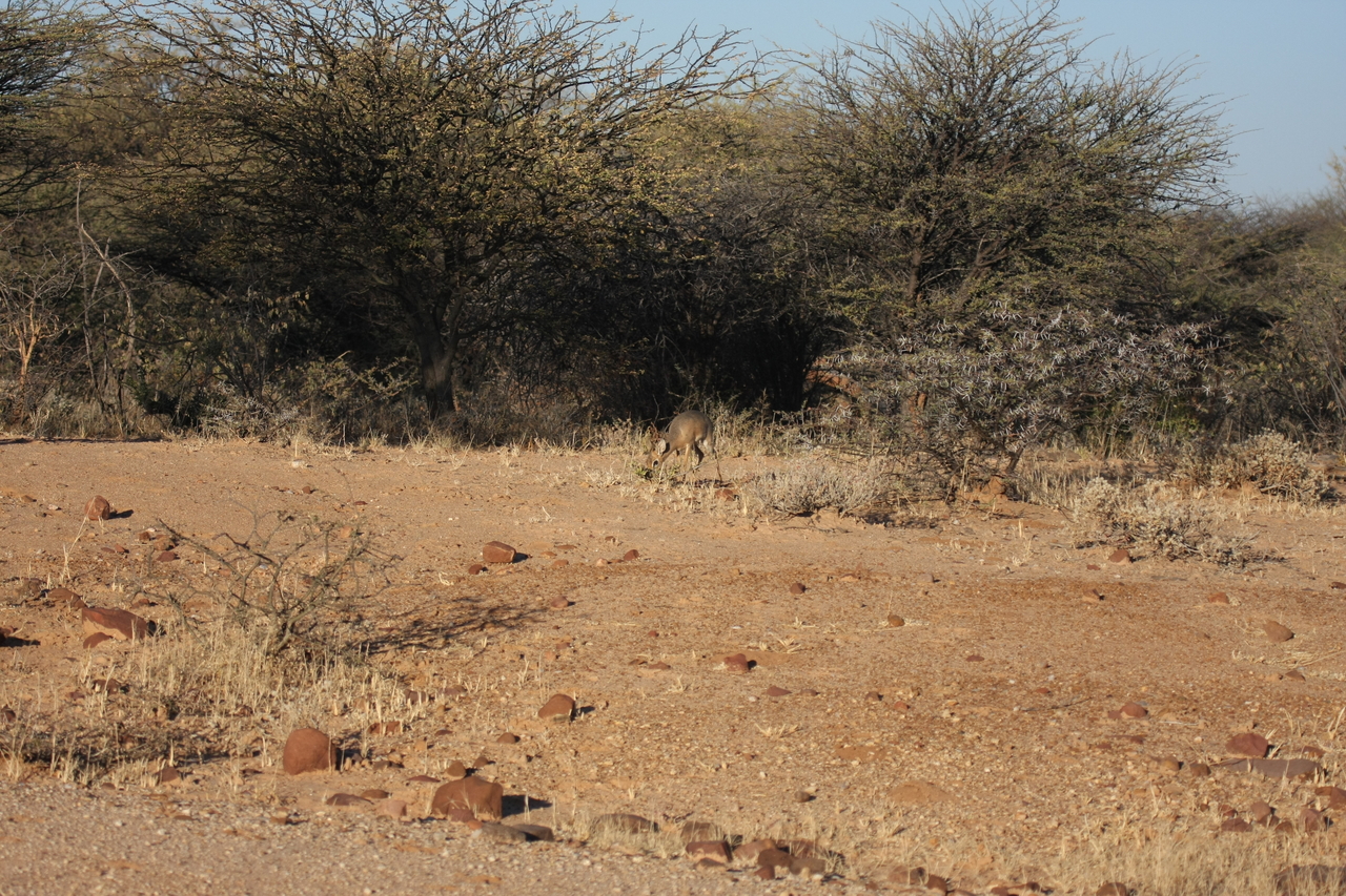 [3248] 2016_06_22_11_32_03_Africa_Canon_EOS_40D_IMG__00738.jpg