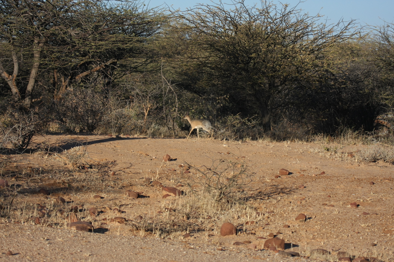 [3260] 2016_06_22_11_32_09_Africa_Canon_EOS_40D_IMG__08206.jpg