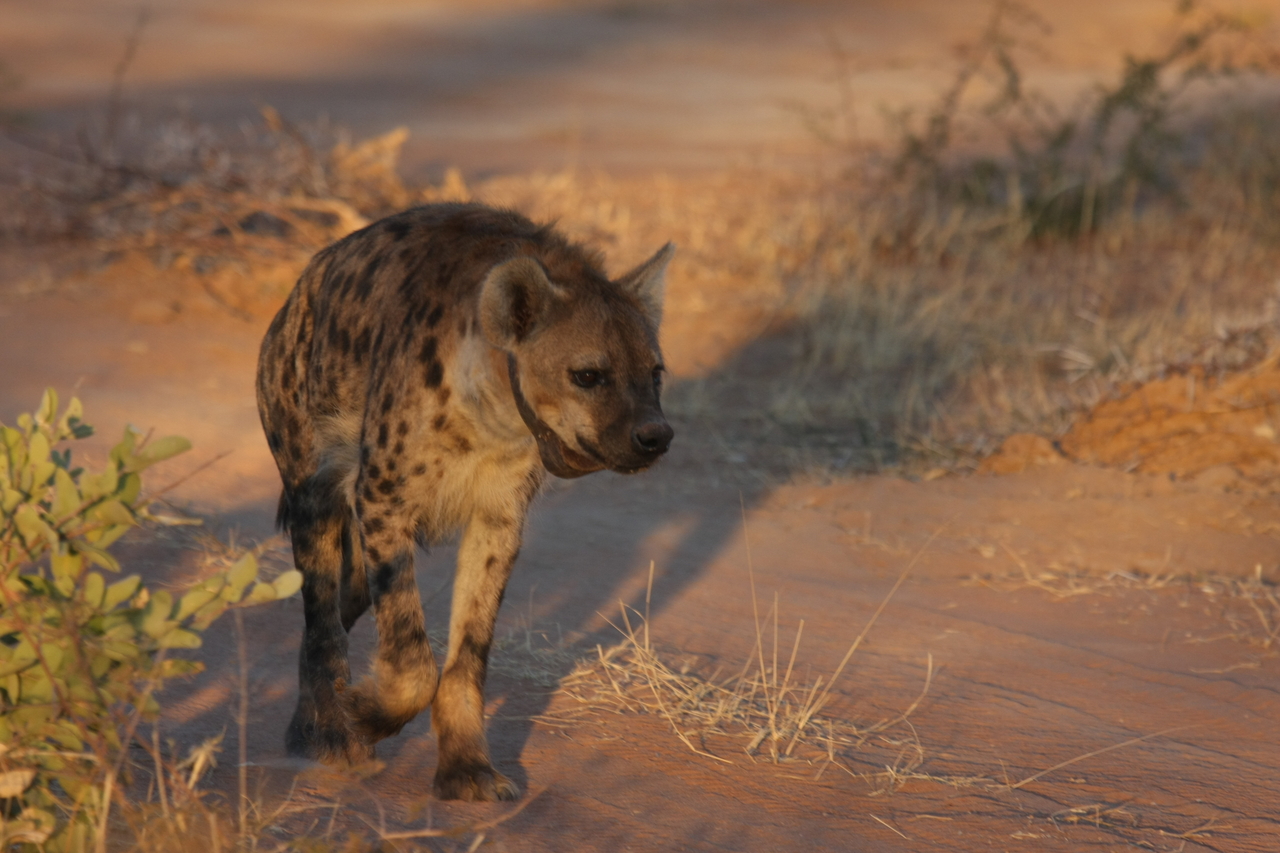 [3303] 2016_06_22_12_05_11_Africa_Canon_EOS_40D_IMG__00771.jpg