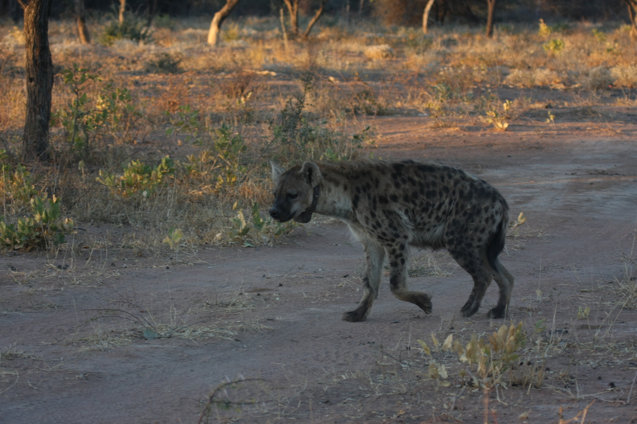 [3359] 2016_06_22_12_06_02_Africa_Canon_EOS_40D_IMG__00790.jpg