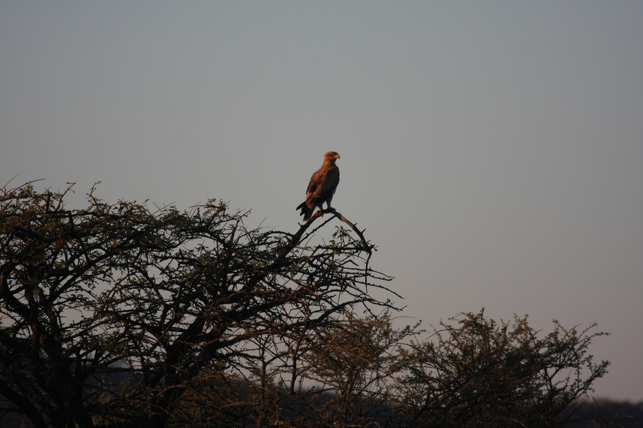[3385] 2016_06_22_12_07_28_Africa_Canon_EOS_40D_IMG__08245.jpg