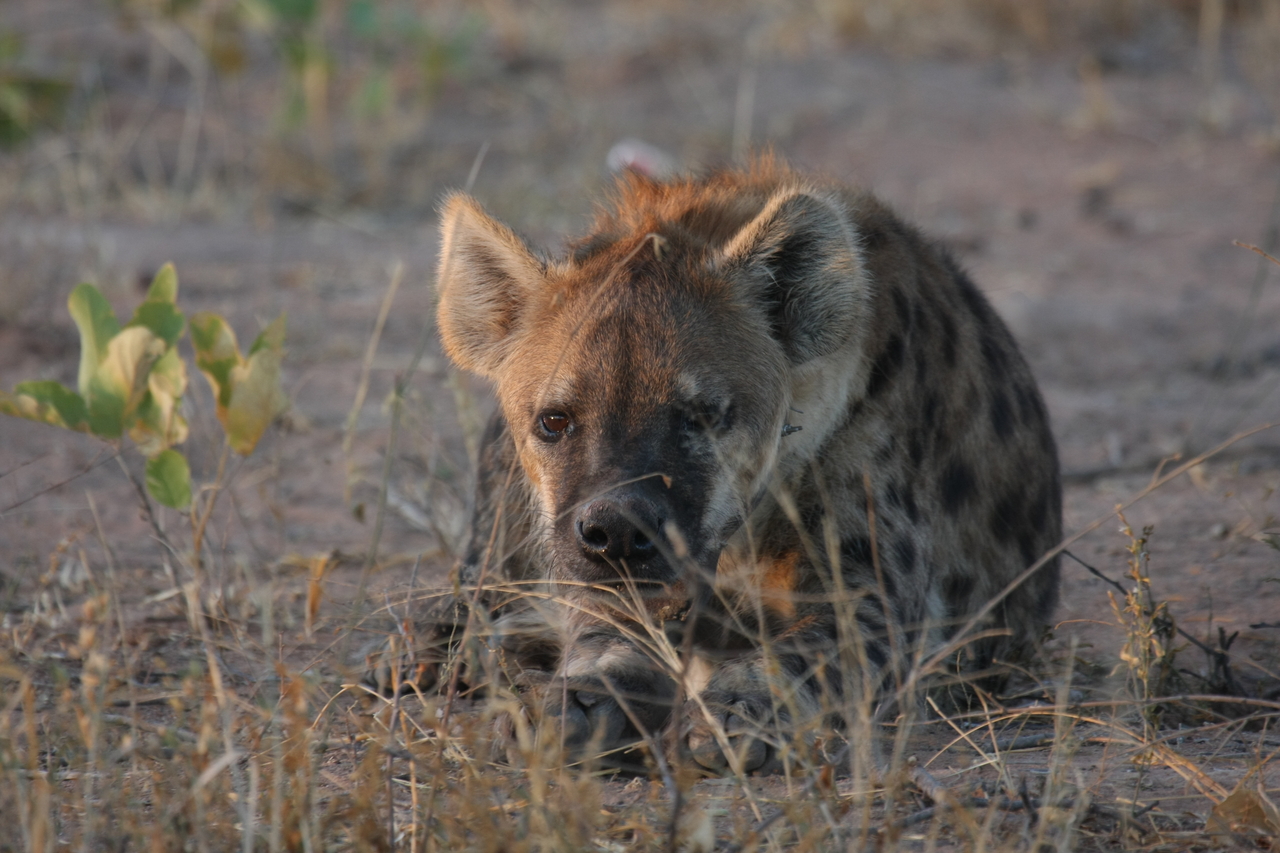 [3407] 2016_06_22_12_08_12_Africa_Canon_EOS_40D_IMG__00787.jpg