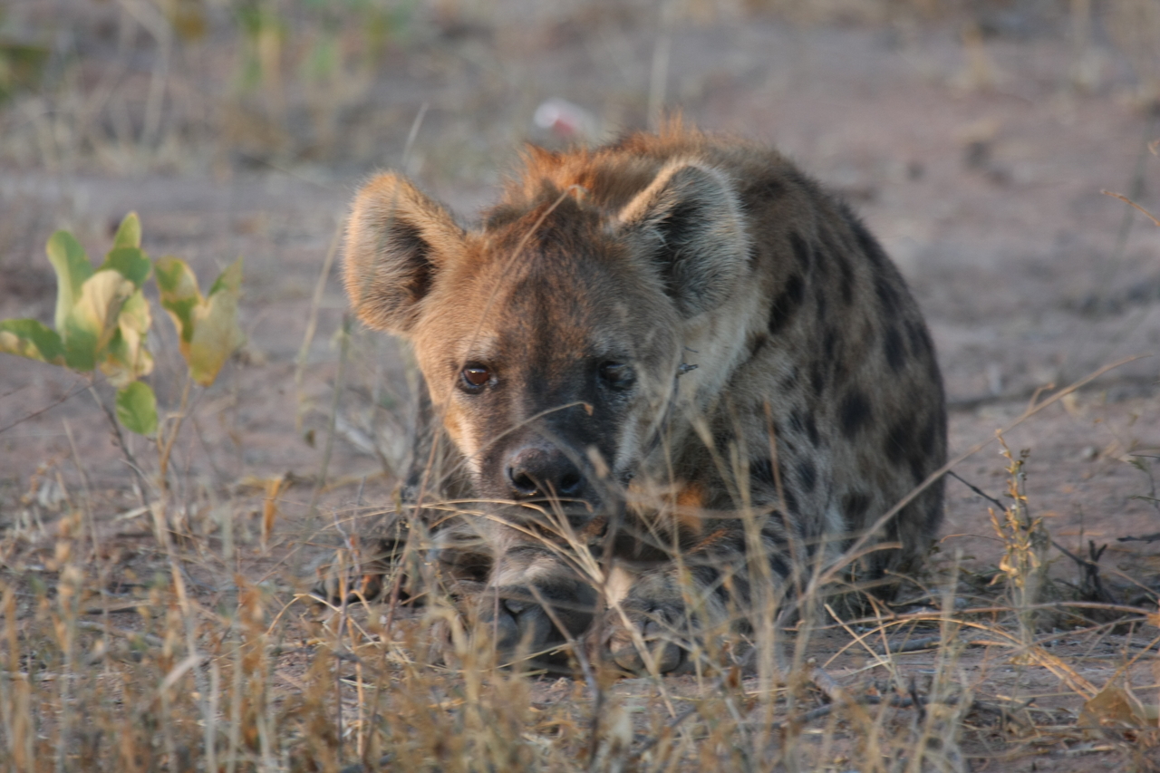 [3415] 2016_06_22_12_08_14_Africa_Canon_EOS_40D_IMG__08255.jpg