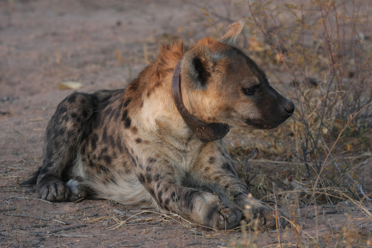 [3447] 2016_06_22_12_09_03_Africa_Canon_EOS_40D_IMG__00801.jpg