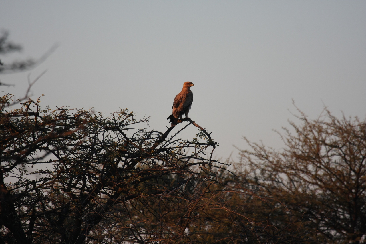 [3465] 2016_06_22_12_09_32_Africa_Canon_EOS_40D_IMG__00825.jpg