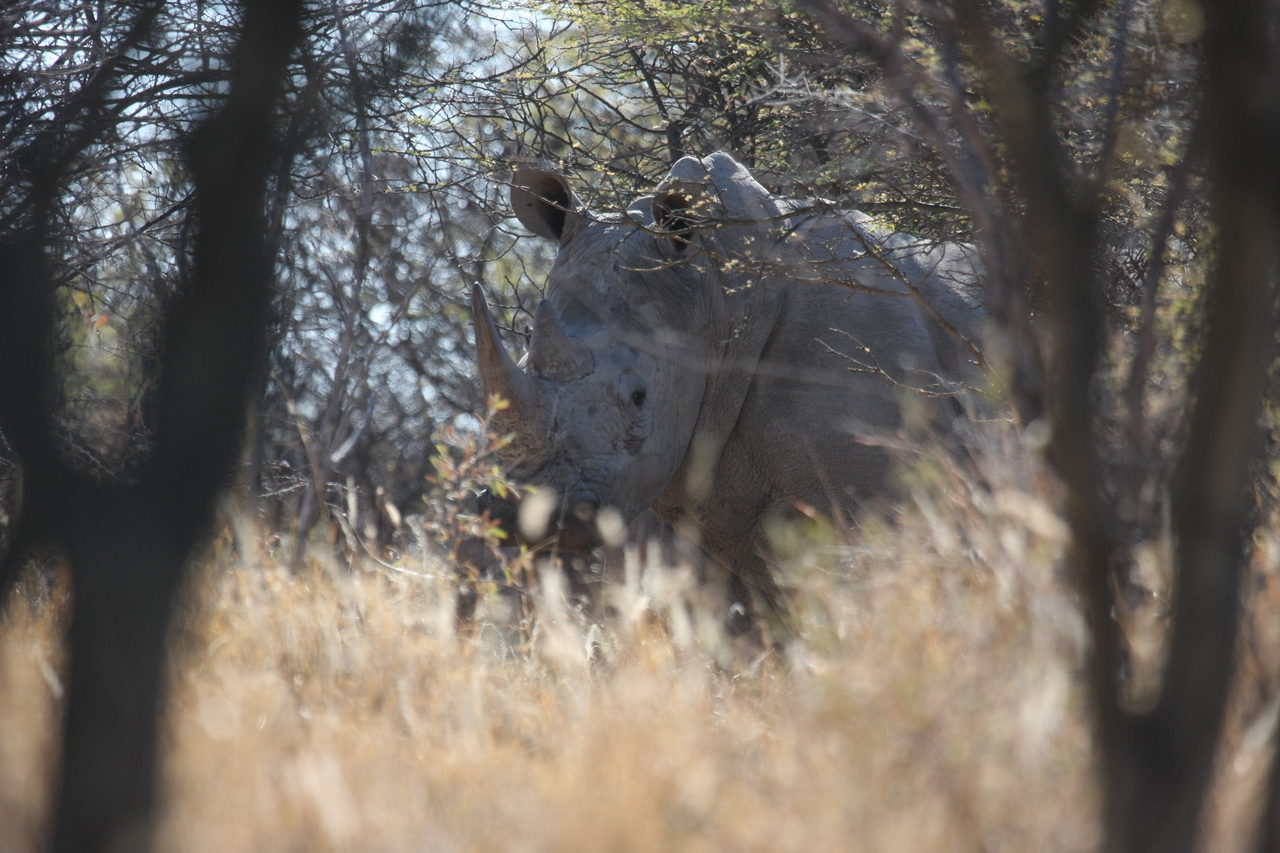 [4661] 2016_06_23_04_17_49_Africa_Canon_EOS_40D_IMG__08305.jpg