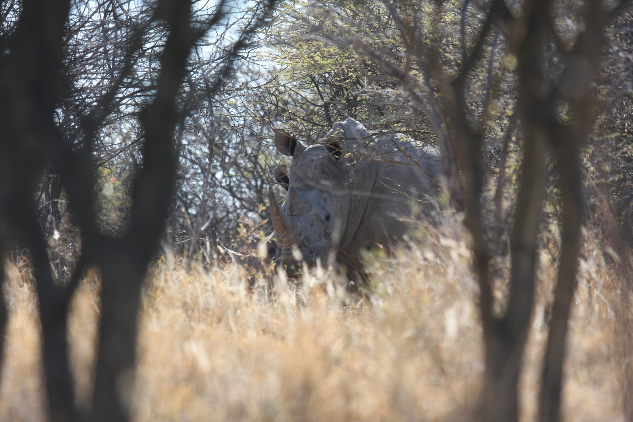 [4677] 2016_06_23_04_18_16_Africa_Canon_EOS_40D_IMG__00030.jpg