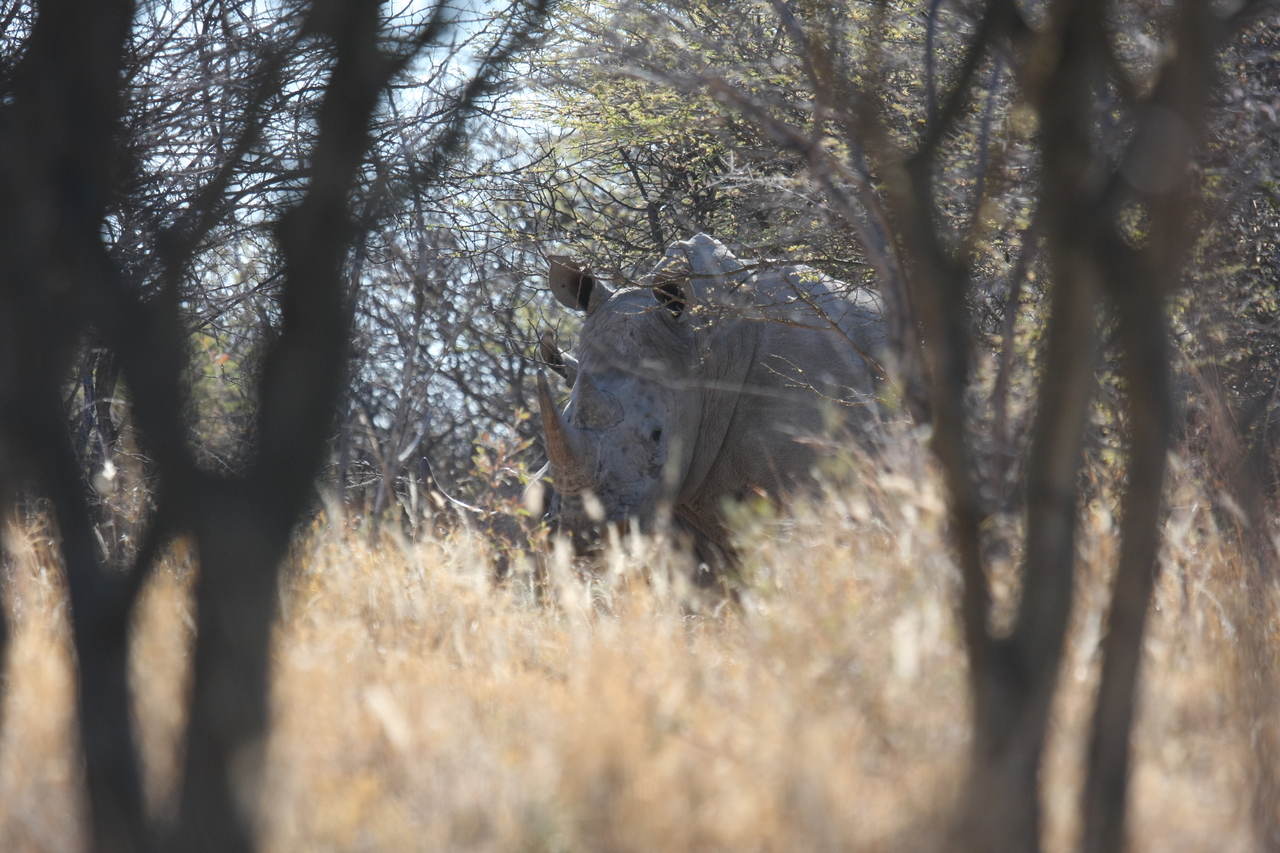 [4678] 2016_06_23_04_18_16_Africa_Canon_EOS_40D_IMG__00031.jpg