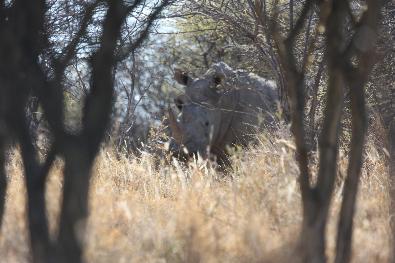 [4689] 2016_06_23_04_18_32_Africa_Canon_EOS_40D_IMG__00034.jpg