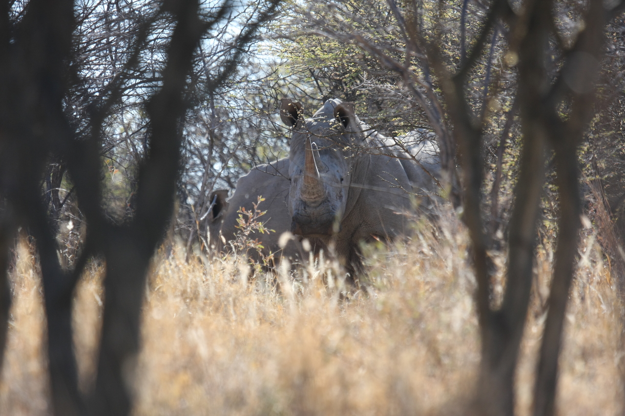 [4702] 2016_06_23_04_18_46_Africa_Canon_EOS_40D_IMG__08318.jpg
