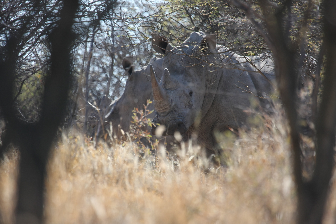 [4703] 2016_06_23_04_18_53_Africa_Canon_EOS_40D_IMG__00038.jpg