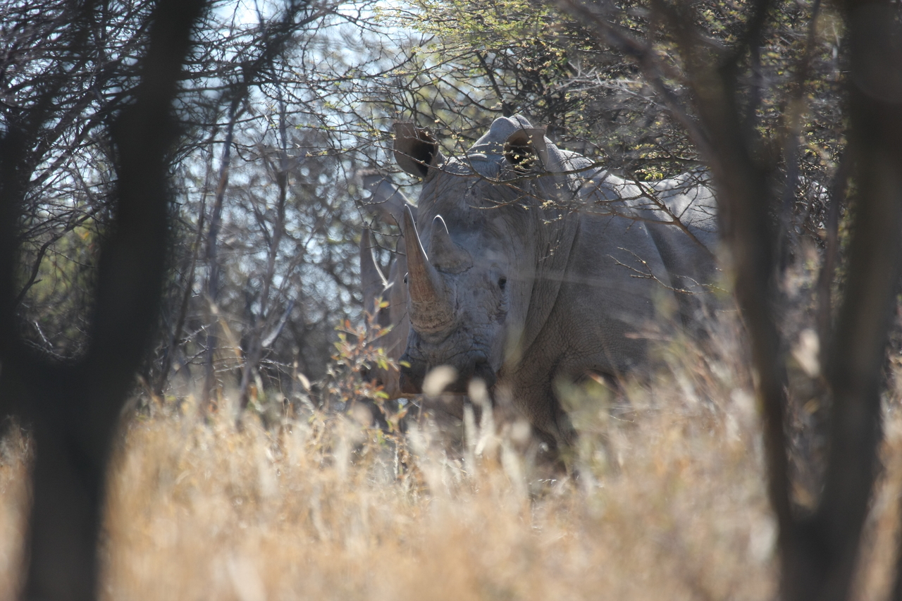 [4710] 2016_06_23_04_18_55_Africa_Canon_EOS_40D_IMG__00041.jpg