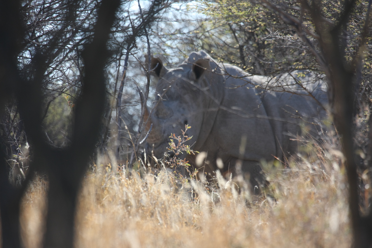 [4718] 2016_06_23_04_19_08_Africa_Canon_EOS_40D_IMG__00043.jpg