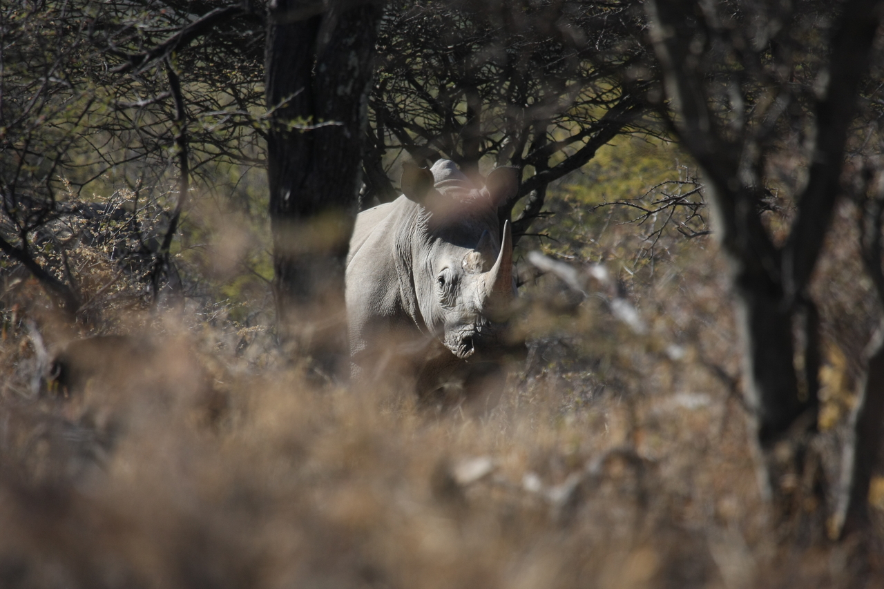 [4823] 2016_06_23_04_24_23_Africa_Canon_EOS_40D_IMG__00072.jpg