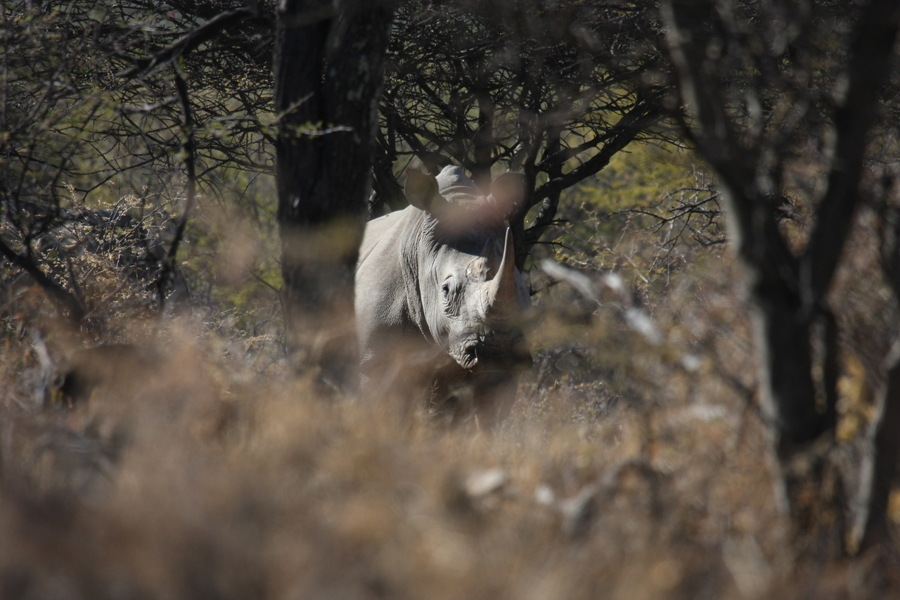 [4824] 2016_06_23_04_24_23_Africa_Canon_EOS_40D_IMG__00073.jpg
