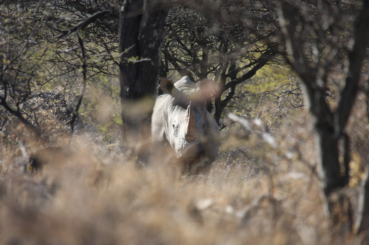 [4842] 2016_06_23_04_24_34_Africa_Canon_EOS_40D_IMG__00912.jpg