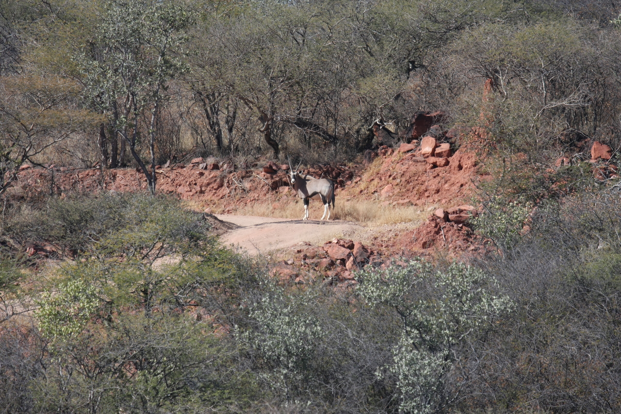 [5021] 2016_06_23_05_23_35_Africa_Canon_EOS_40D_IMG__00957.jpg