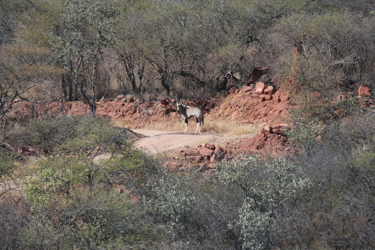 [5023] 2016_06_23_05_23_35_Africa_Canon_EOS_40D_IMG__08403.jpg