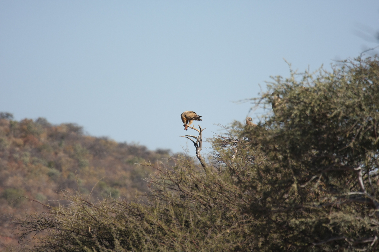 [5428] 2016_06_23_10_01_10_Africa_Canon_EOS_40D_IMG__00977.jpg