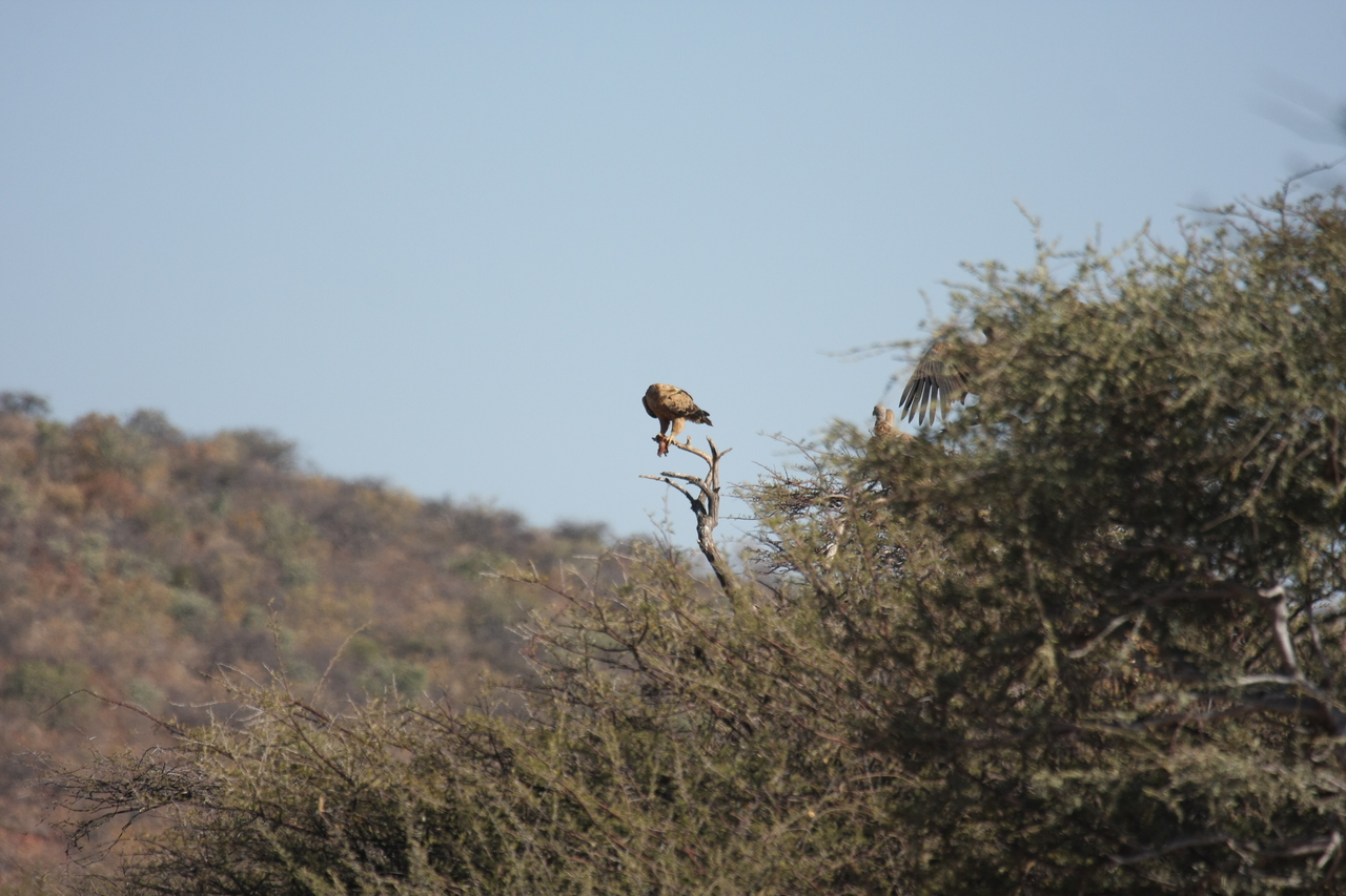 [5434] 2016_06_23_10_01_14_Africa_Canon_EOS_40D_IMG__08426.jpg