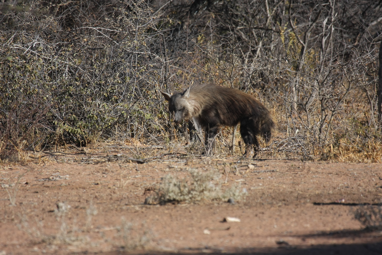 [5439] 2016_06_23_10_03_18_Africa_Canon_EOS_40D_IMG__00148.jpg