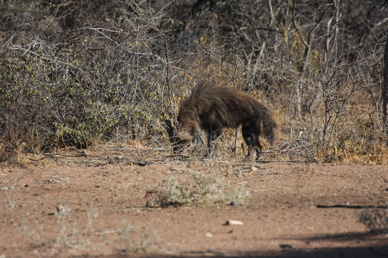 [5440] 2016_06_23_10_03_18_Africa_Canon_EOS_40D_IMG__00149.jpg