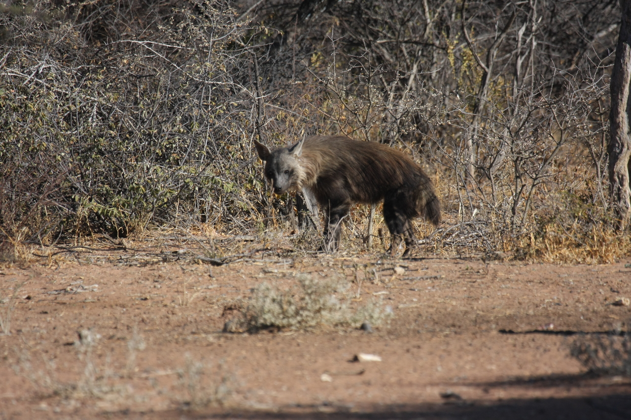 [5444] 2016_06_23_10_03_18_Africa_Canon_EOS_40D_IMG__08428.jpg