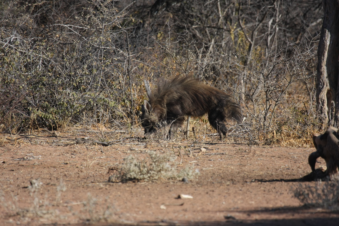 [5448] 2016_06_23_10_03_31_Africa_Canon_EOS_40D_IMG__00151.jpg