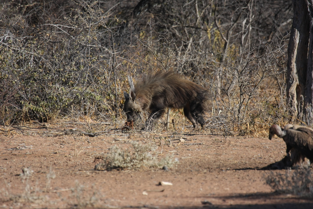 [5451] 2016_06_23_10_03_31_Africa_Canon_EOS_40D_IMG__08431.jpg