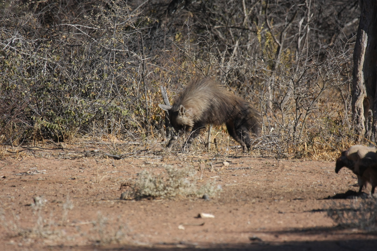 [5453] 2016_06_23_10_03_34_Africa_Canon_EOS_40D_IMG__00152.jpg