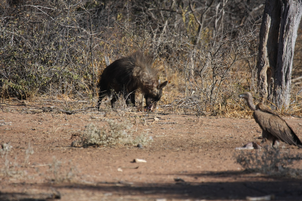 [5468] 2016_06_23_10_04_03_Africa_Canon_EOS_40D_IMG__00157.jpg
