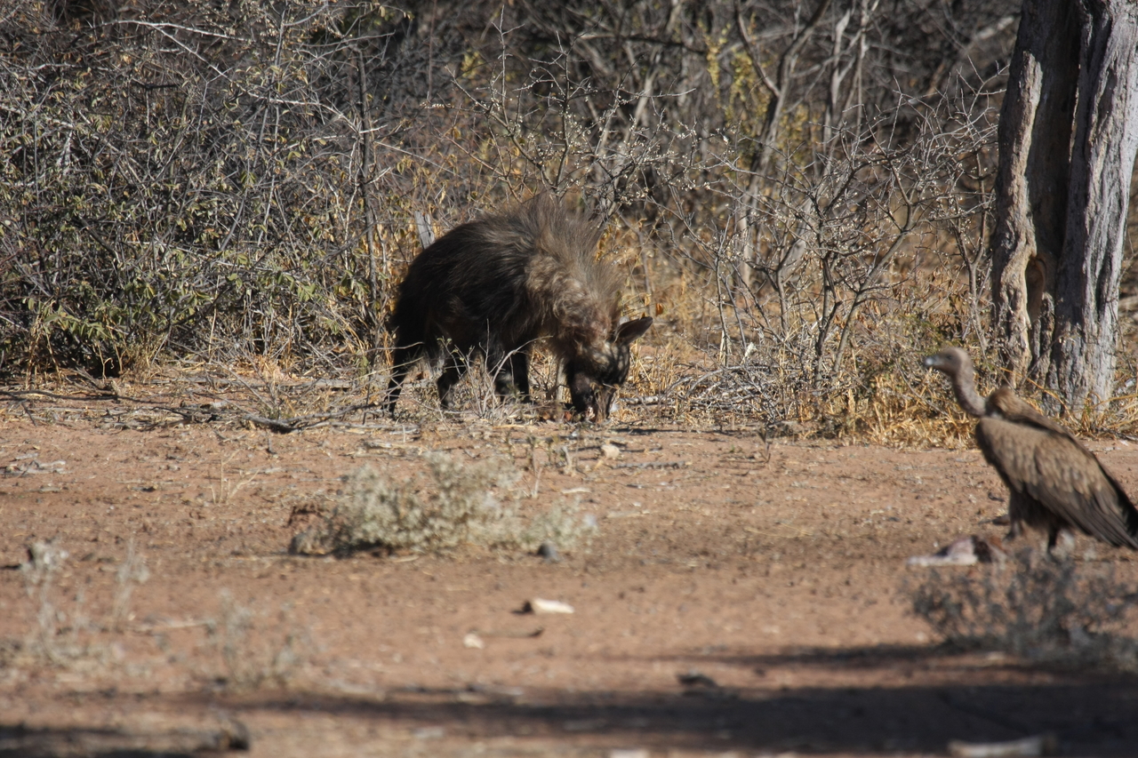 [5469] 2016_06_23_10_04_03_Africa_Canon_EOS_40D_IMG__00158.jpg