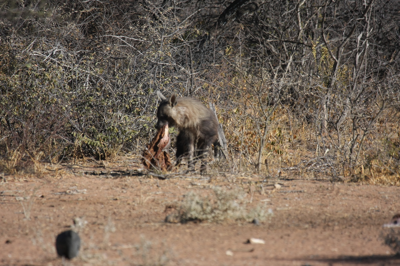 [5493] 2016_06_23_10_04_21_Africa_Canon_EOS_40D_IMG__00999.jpg