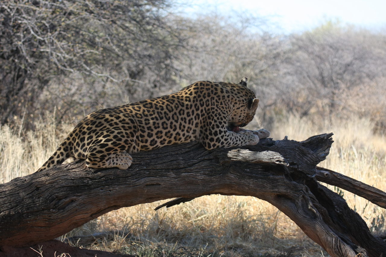 [5563] 2016_06_23_10_17_08_Africa_Canon_EOS_40D_IMG__01014.jpg