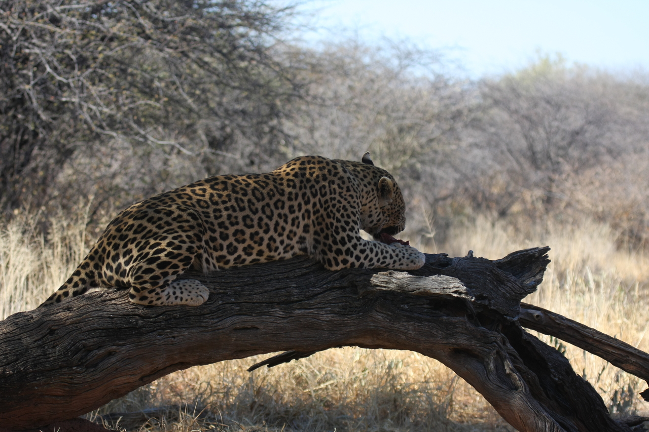 [5569] 2016_06_23_10_17_20_Africa_Canon_EOS_40D_IMG__01016.jpg