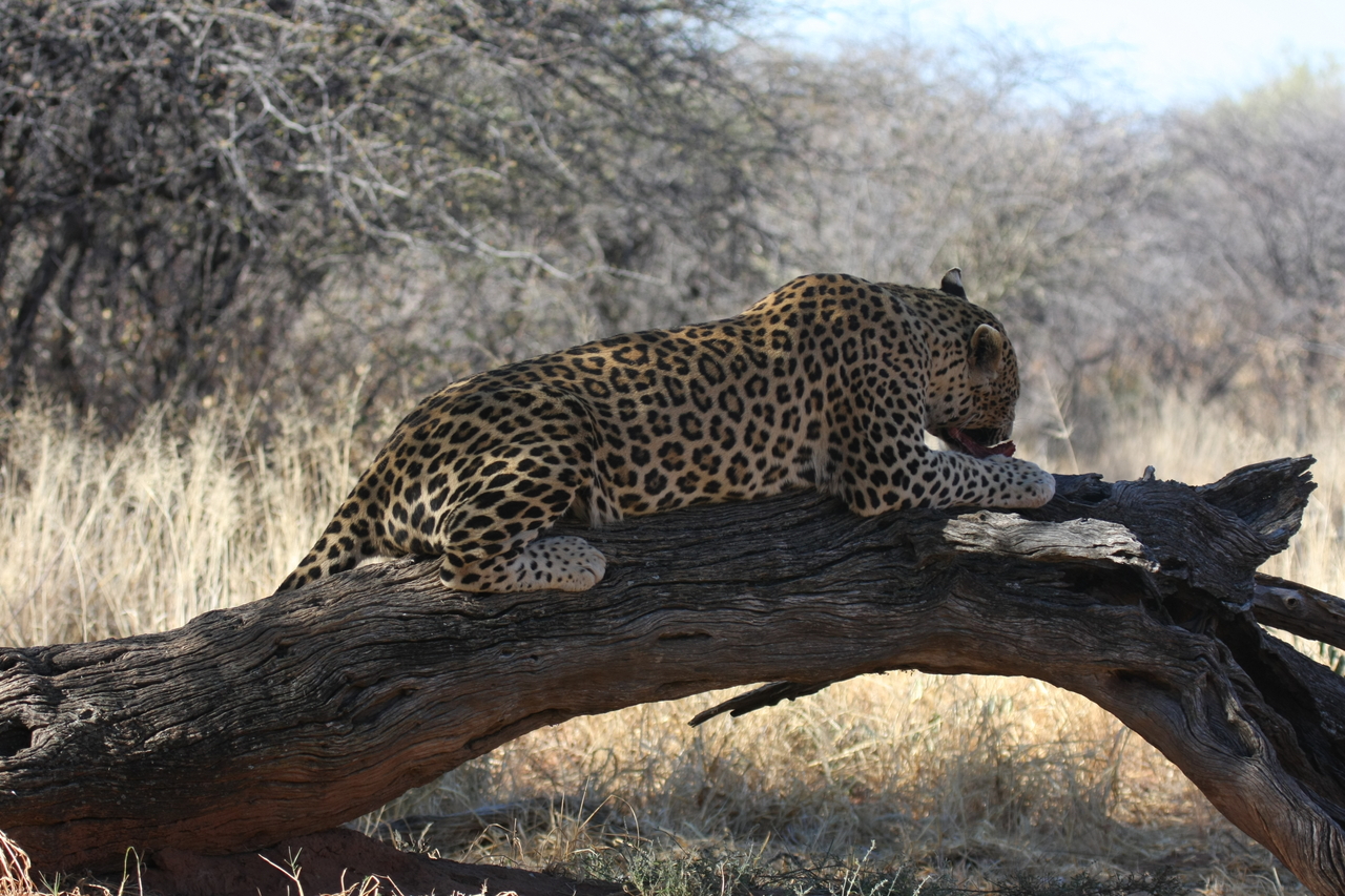 [5573] 2016_06_23_10_17_36_Africa_Canon_EOS_40D_IMG__00184.jpg