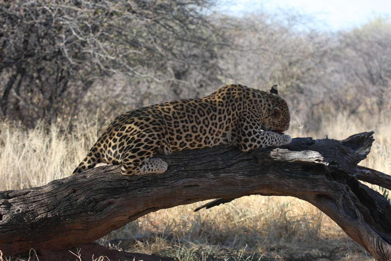 [5609] 2016_06_23_10_18_42_Africa_Canon_EOS_40D_IMG__01030.jpg