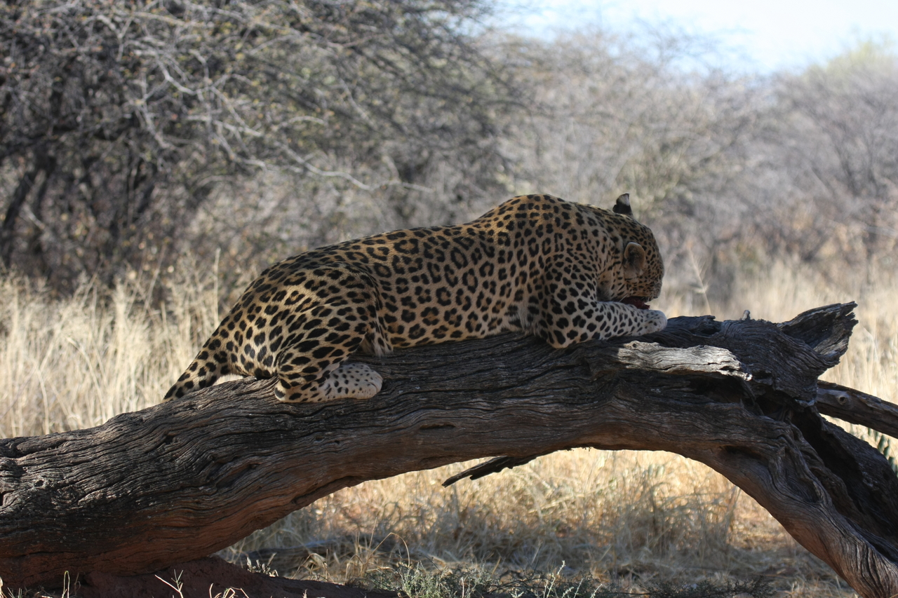 [5610] 2016_06_23_10_18_42_Africa_Canon_EOS_40D_IMG__08476.jpg