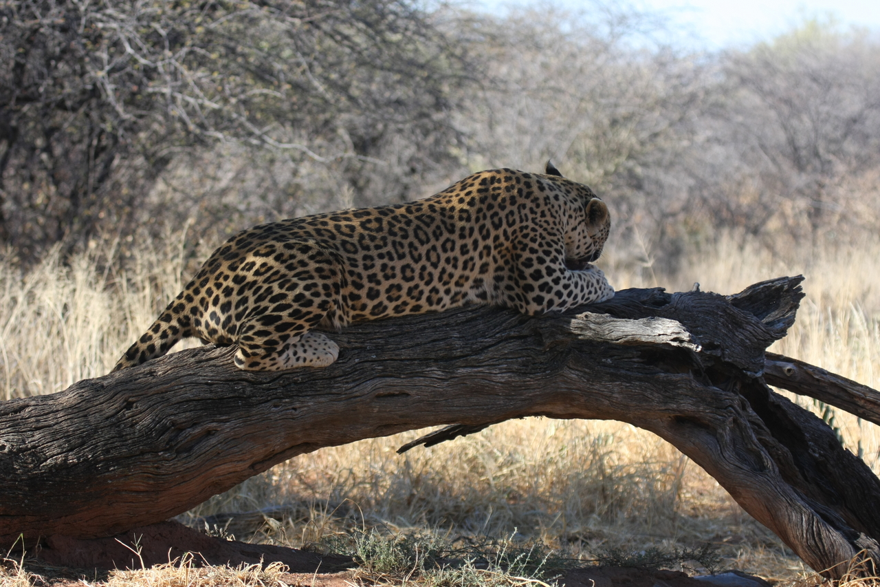 [5612] 2016_06_23_10_19_11_Africa_Canon_EOS_40D_IMG__00197.jpg