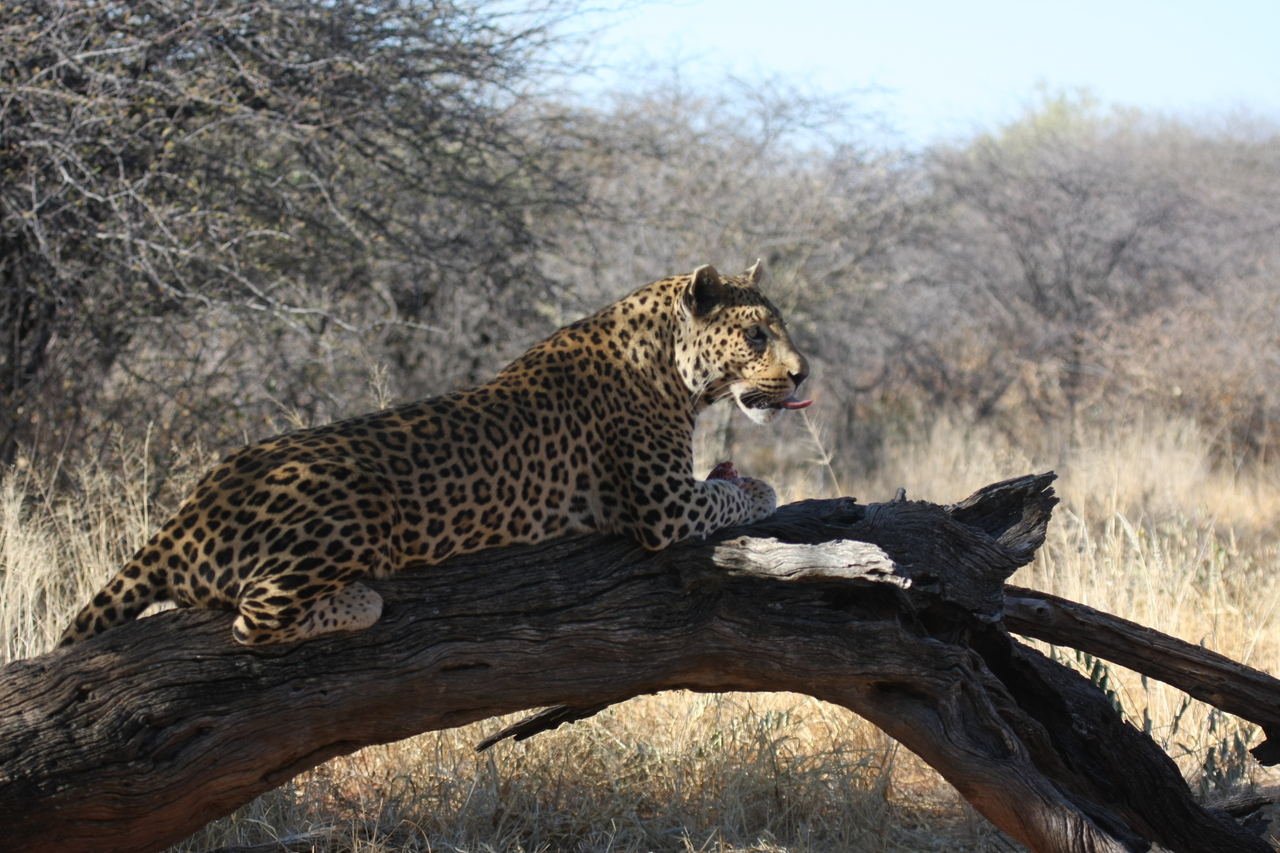 [5626] 2016_06_23_10_23_30_Africa_Canon_EOS_40D_IMG__08482.jpg