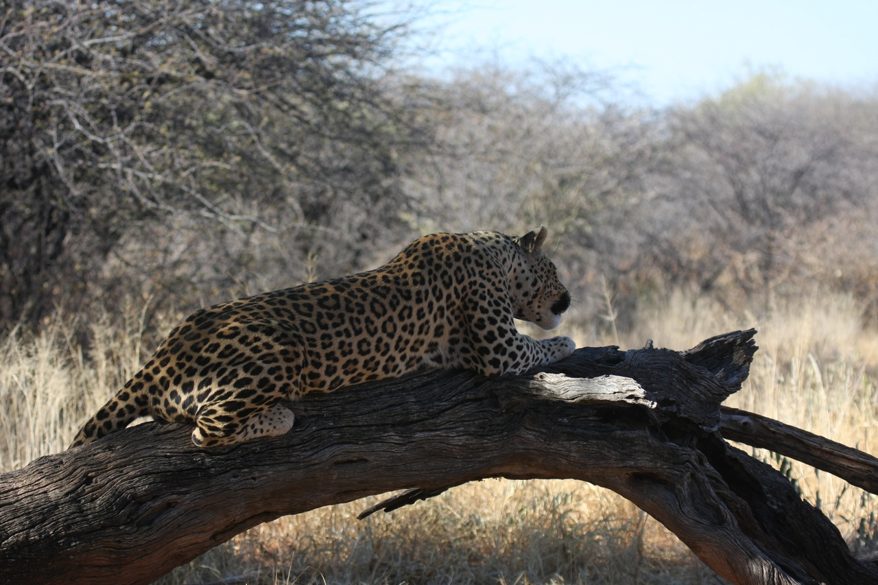 [5644] 2016_06_23_10_24_20_Africa_Canon_EOS_40D_IMG__08484.jpg