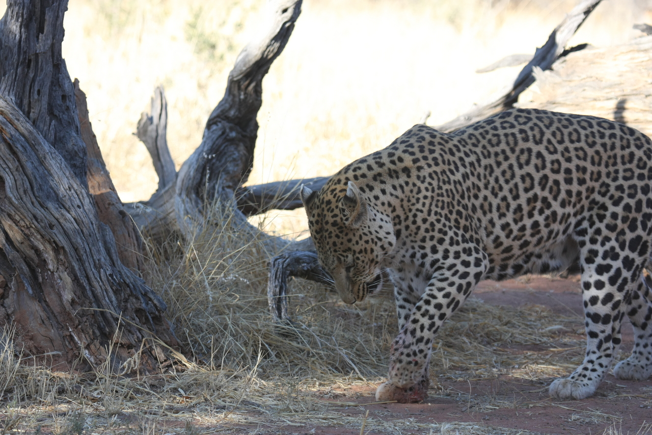 [5677] 2016_06_23_10_25_16_Africa_Canon_EOS_40D_IMG__01048.jpg