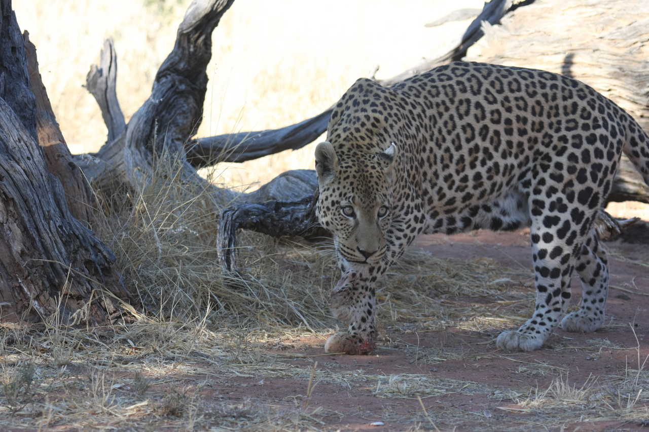 [5683] 2016_06_23_10_25_18_Africa_Canon_EOS_40D_IMG__00218.jpg