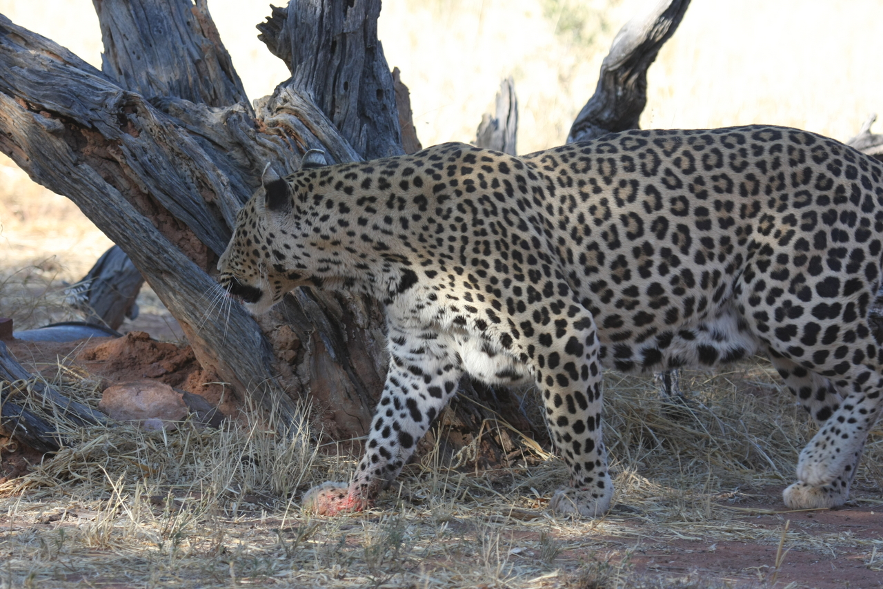 [5699] 2016_06_23_10_25_21_Africa_Canon_EOS_40D_IMG__00222.jpg