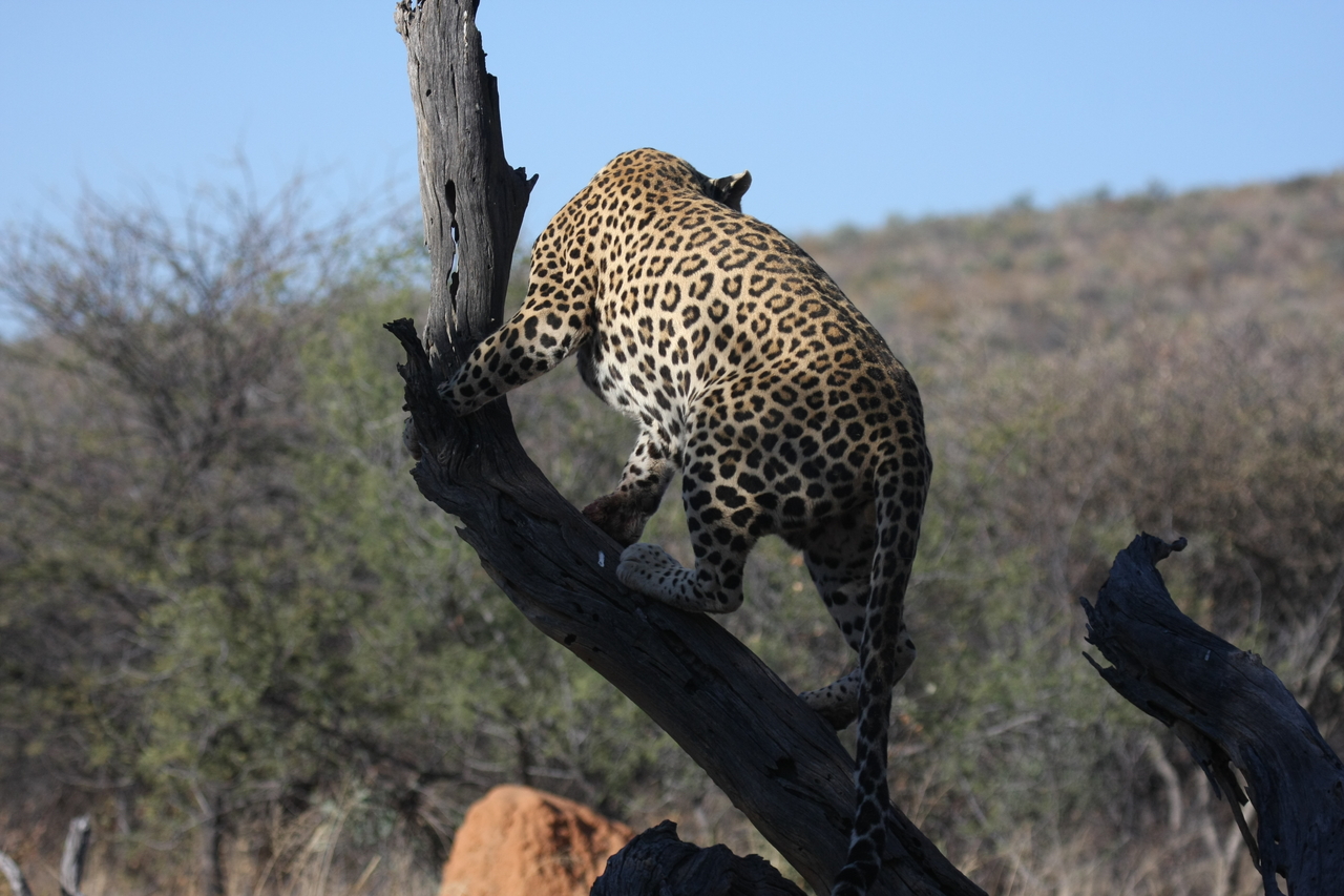 [5705] 2016_06_23_10_25_31_Africa_Canon_EOS_40D_IMG__00224.jpg