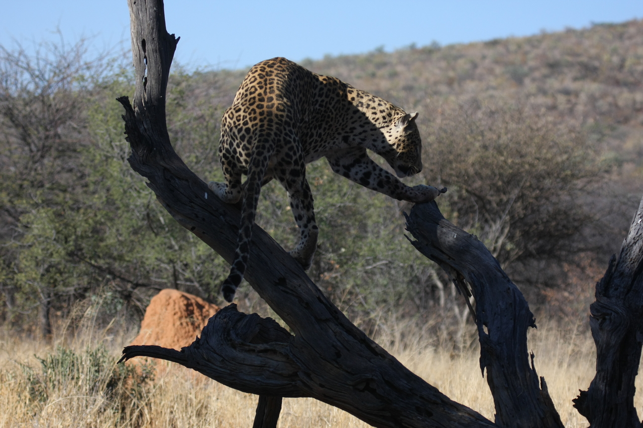 [5708] 2016_06_23_10_25_33_Africa_Canon_EOS_40D_IMG__00225.jpg